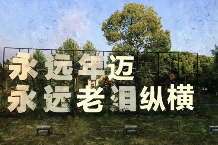 WX20190703-112134@2x