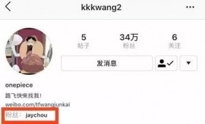 我的爱豆追起星来居然比我还拼命