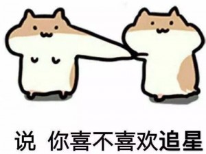 我的爱豆追起星来居然比我还拼命