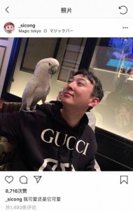 好想变成爱豆养的宠物啊...