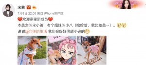 好想变成爱豆养的宠物啊...