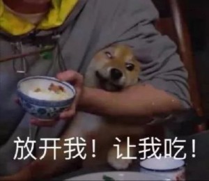 好想变成爱豆养的宠物啊...