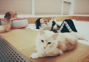 好想变成爱豆养的宠物啊...