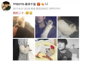 好想变成爱豆养的宠物啊...