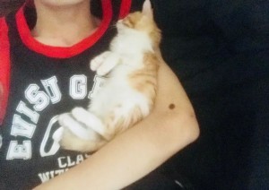 好想变成爱豆养的宠物啊...