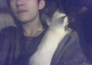 好想变成爱豆养的宠物啊...