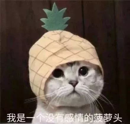 原来长得帅真的可以为所欲为...