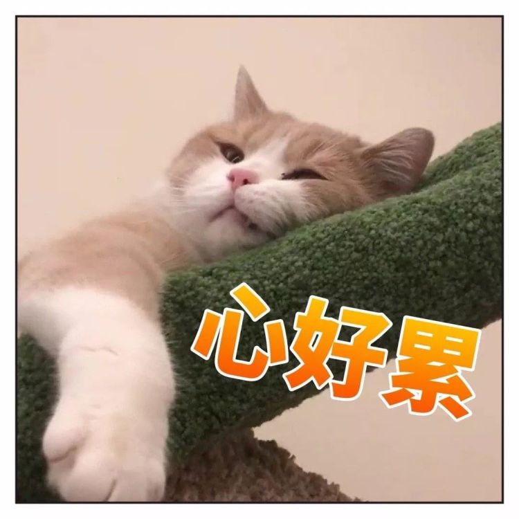 我只是想看场演唱会,为什么比西天取经还难?