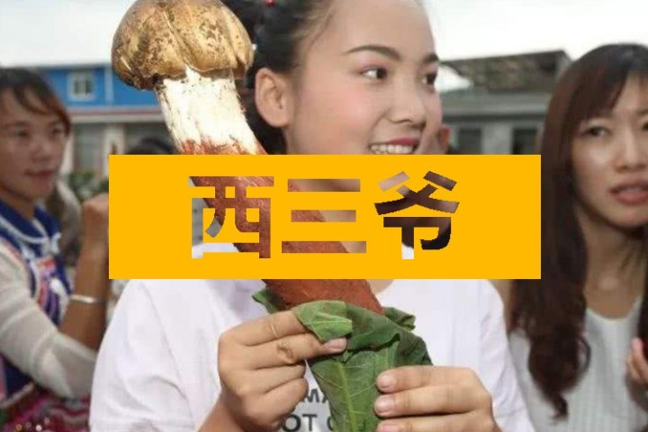 在云南吃蘑菇吃到中毒致幻，是种什么体验？