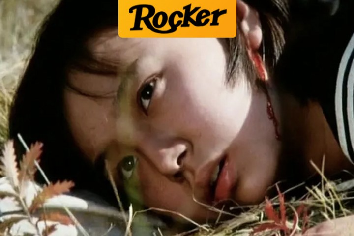 fde3ffb8d6e640faaf7c83833518f49e