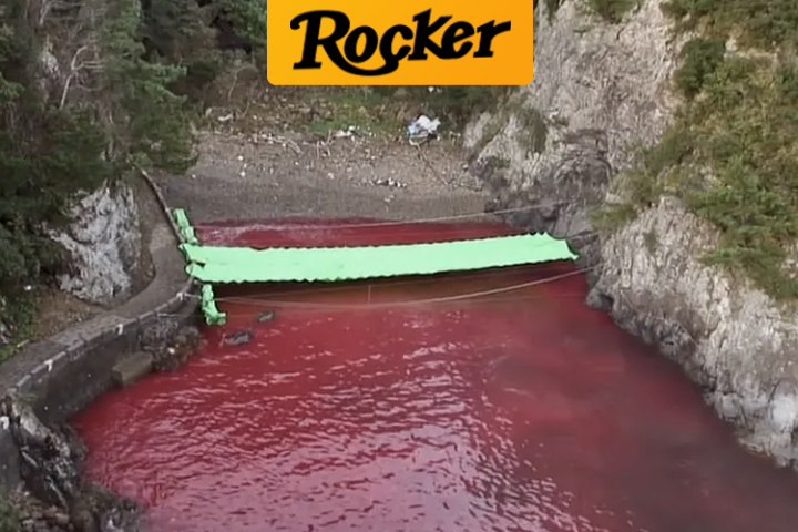 微信图片_20200401095850