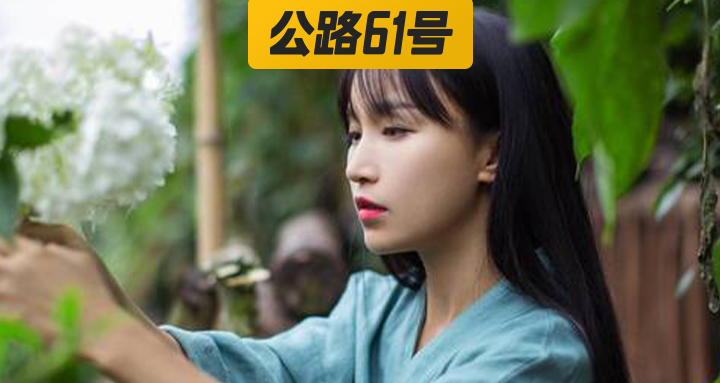 李子柒