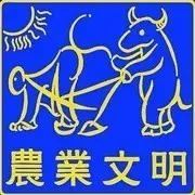 小清新音乐节消亡史