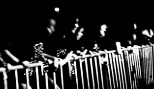 秩序混乱、阵容雷同、保安打人,你可能看了一个假音乐节!