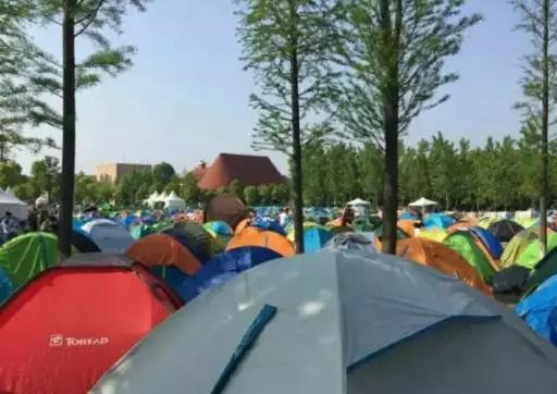 秩序混乱、阵容雷同、保安打人,你可能看了一个假音乐节!