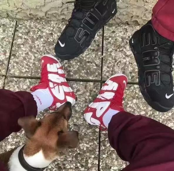 世上只有这款潮牌敢指着你的鼻子骂:爱买买,不买滚!