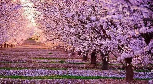 我努力去读懂这最后8人的经历,却不及她们经历苦痛的万分之一