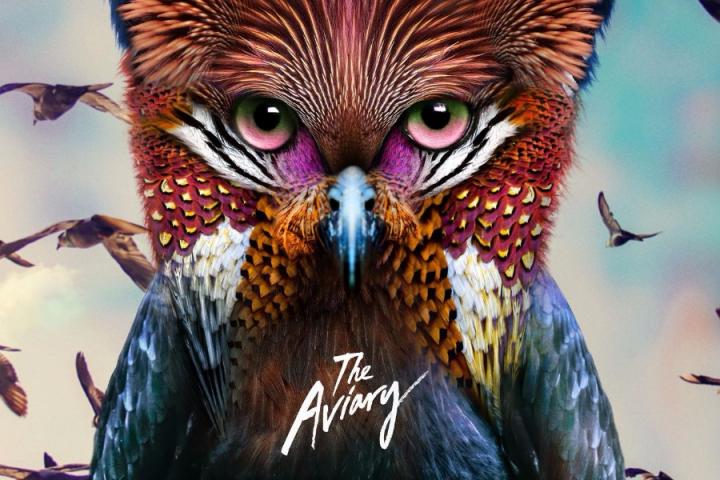 Galantis发布新专辑《The Aviary》，无可限量的前景