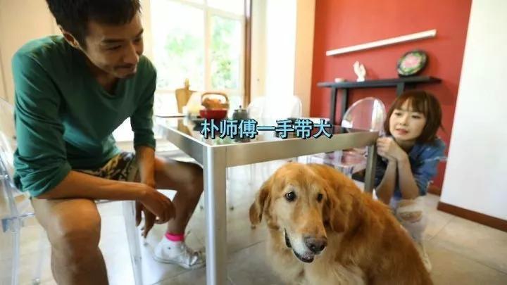 我不敢相信朴树、万晓利、宋冬野都会为它们写歌……