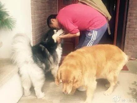 我不敢相信朴树、万晓利、宋冬野都会为它们写歌……