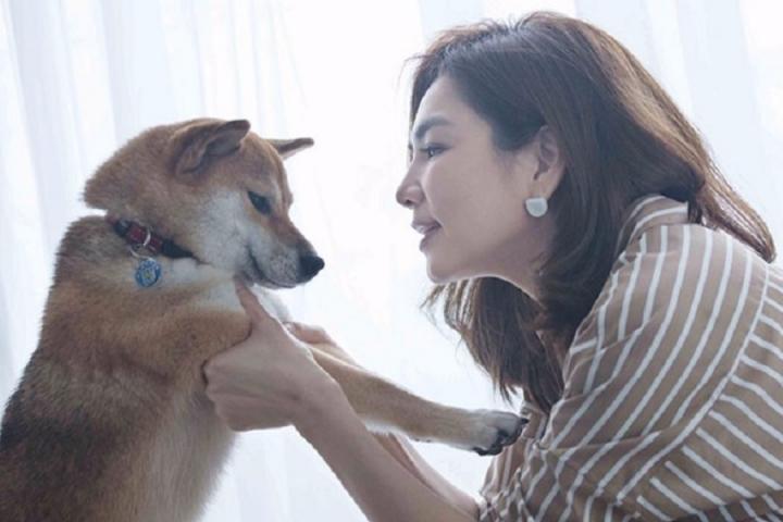 Ella新歌《我的宝》告白儿子劲宝，摇篮曲传递世间温暖力量