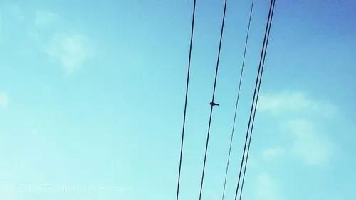 青春之后、结婚之前，我想和你再听一遍五月天的《天使》…