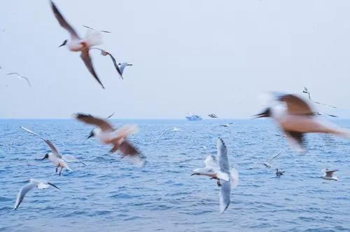 青春之后、结婚之前，我想和你再听一遍五月天的《天使》…