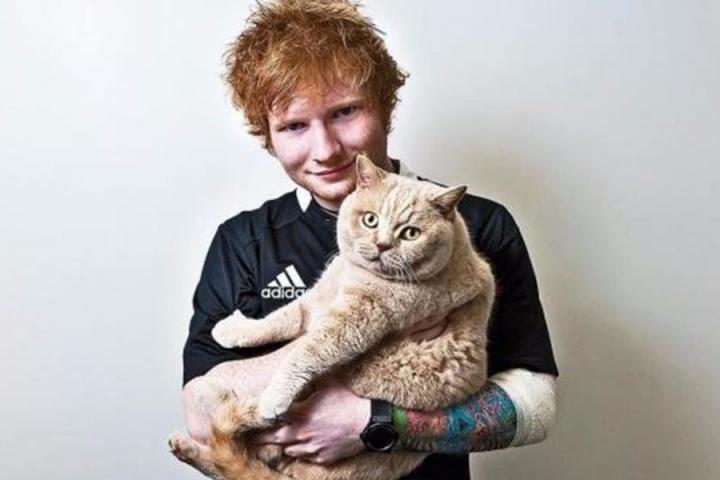 2017年Billboard年终单曲榜Top 100揭晓，黄老板夺冠