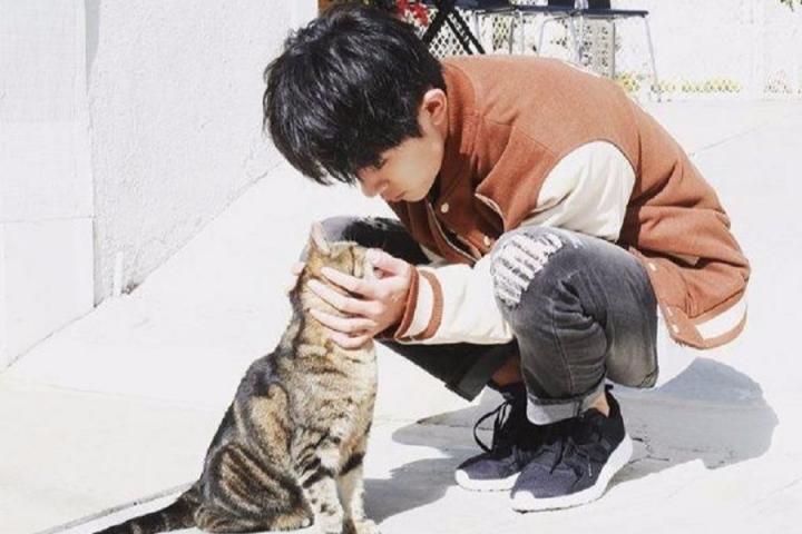 易烊千玺ins账号公开，四字弟弟好奇心爱冒险的小世界